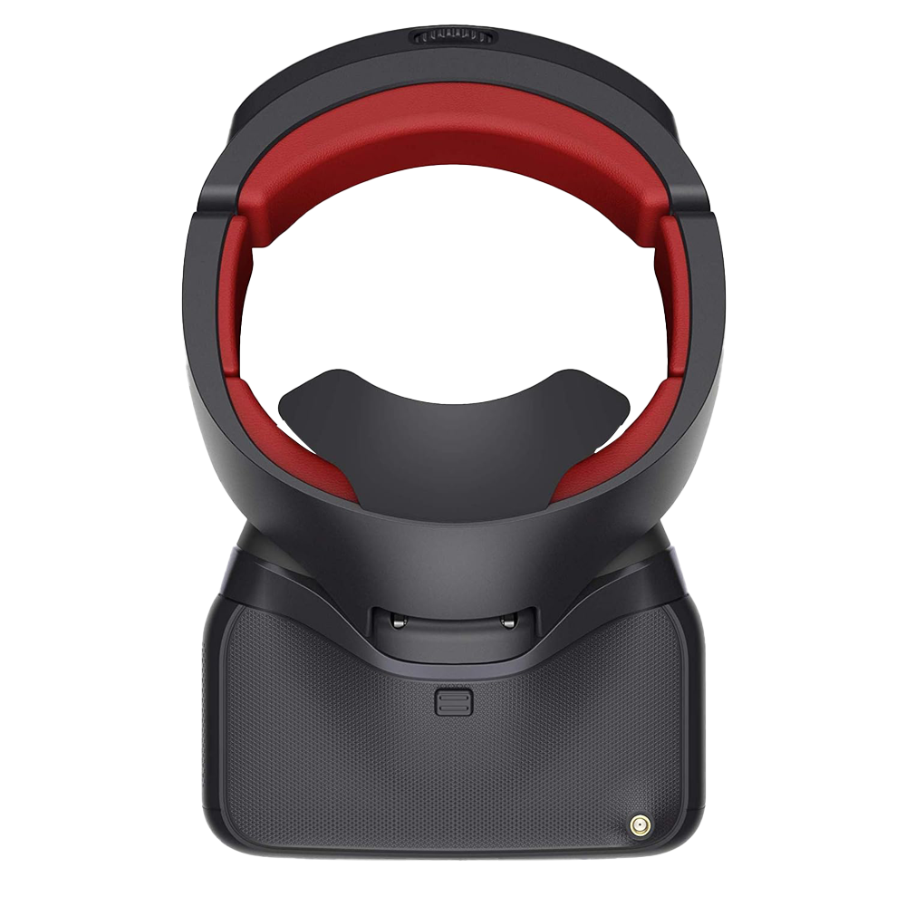 RENTALPARC-2253-DJI-Goggles-RE_4_edit.png